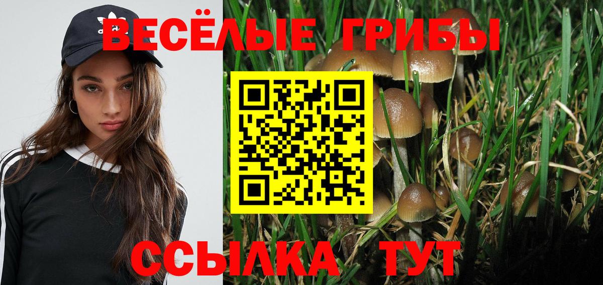 Псилоцибиновые грибы мухоморы Чапаевск